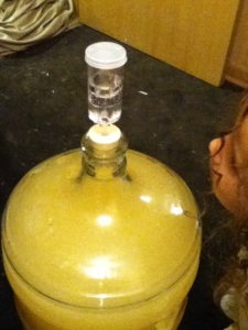 43825456-Sadie Watching for bubbles in Carboy