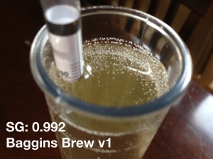 Baggins Brew v1 SG 0.992